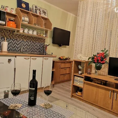 Apartament Sana *